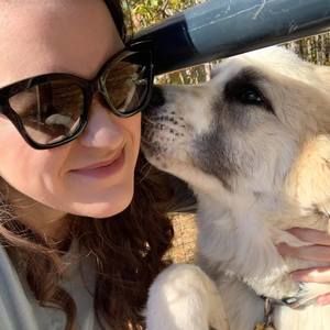 Meet your Posher, India